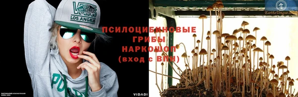 молекула духа Белокуриха